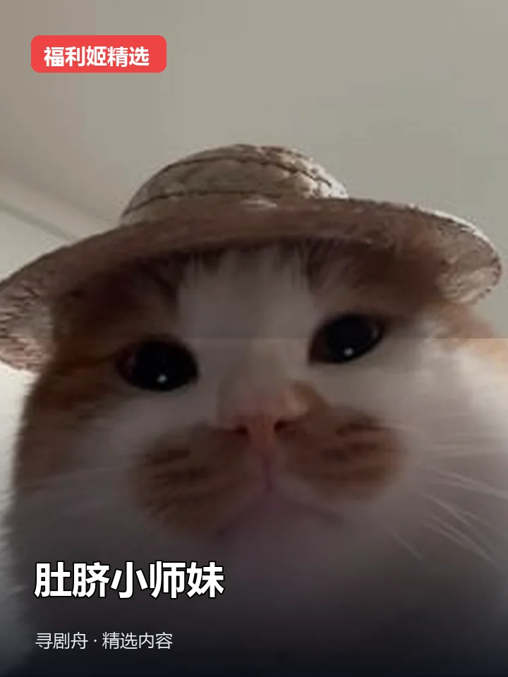 肚脐小师妹 抖音200万粉女主播(迅雷网盘)封面
